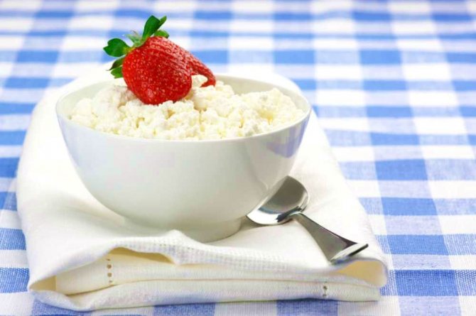 Почему нельзя есть творог утром?